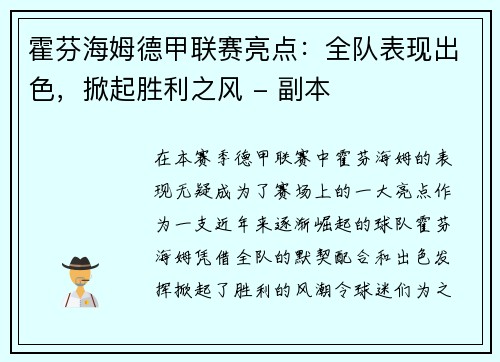 霍芬海姆德甲联赛亮点：全队表现出色，掀起胜利之风 - 副本