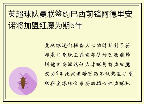 英超球队曼联签约巴西前锋阿德里安诺将加盟红魔为期5年