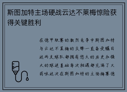 斯图加特主场硬战云达不莱梅惊险获得关键胜利