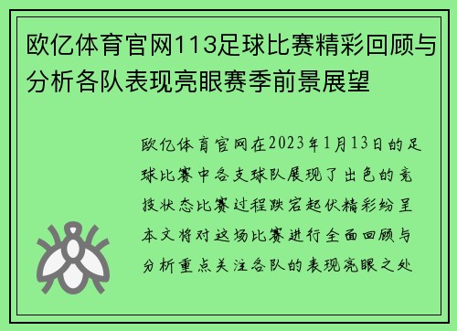 欧亿体育官网113足球比赛精彩回顾与分析各队表现亮眼赛季前景展望